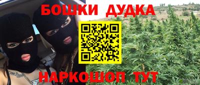 гидра Новодвинск