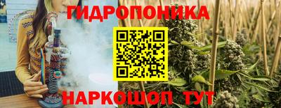 ГАЛЛЮЦИНОГЕННЫЕ ГРИБЫ Новозыбков